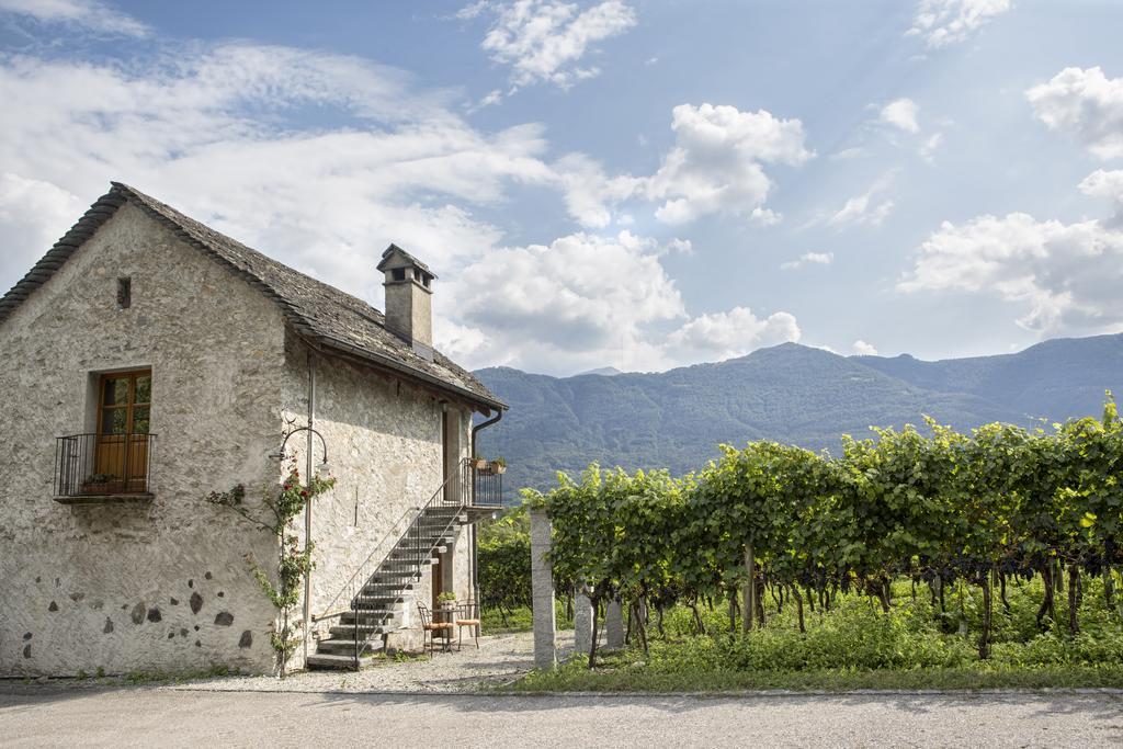 Hotel Fattoria L'amorosa