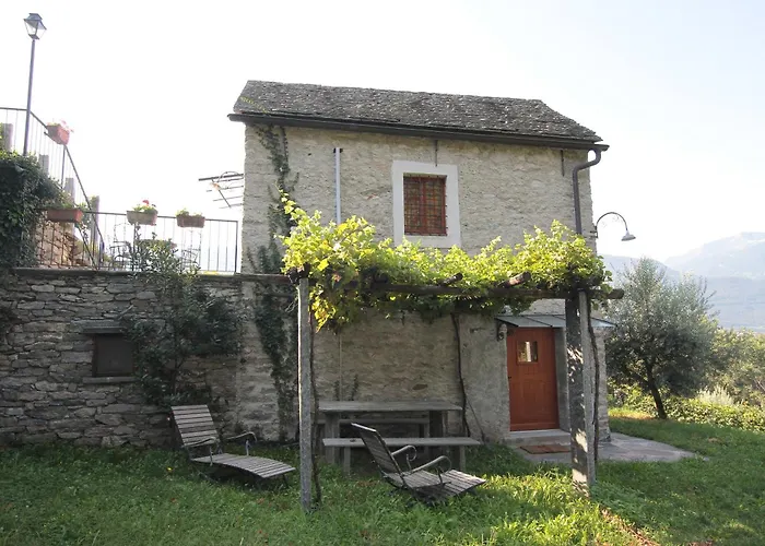 Fattoria L\'Amorosa