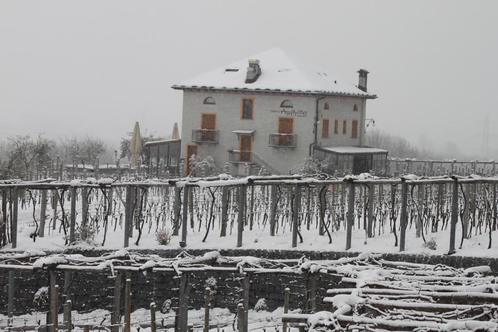 Fattoria L'amorosa