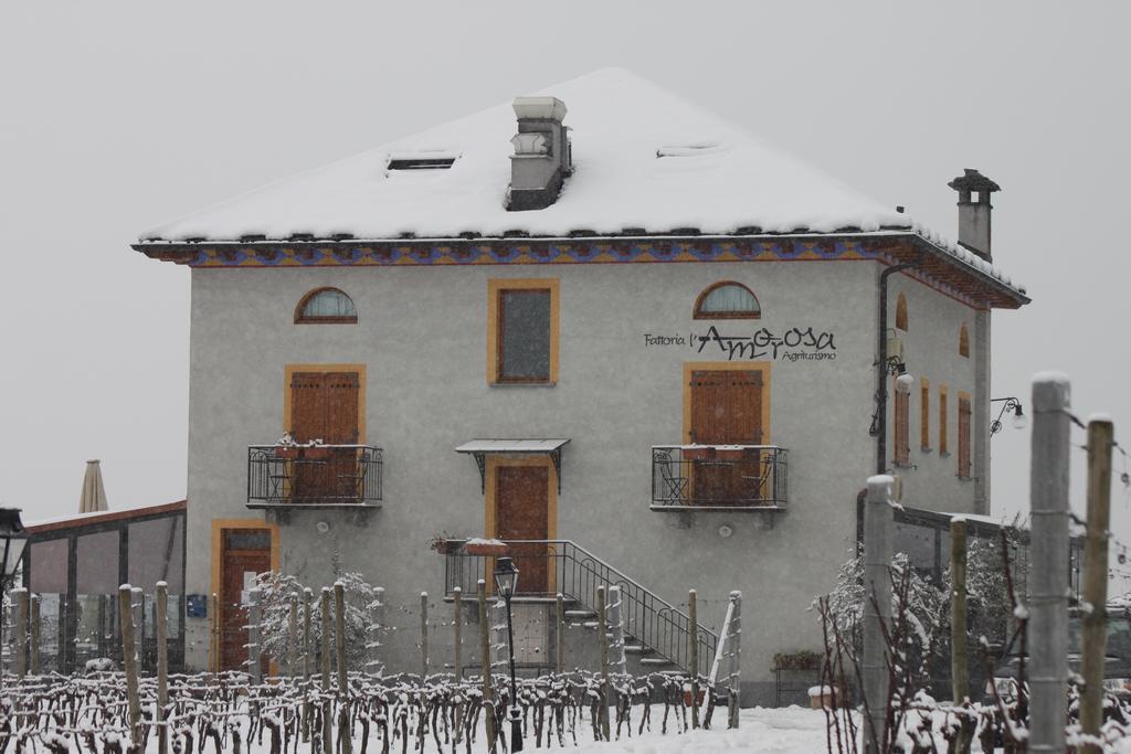 Hotel Fattoria L'amorosa Sementina