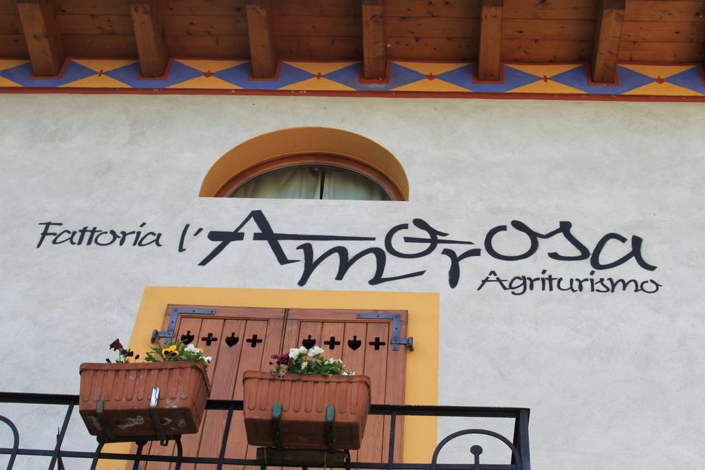 Fattoria L'amorosa Sementina