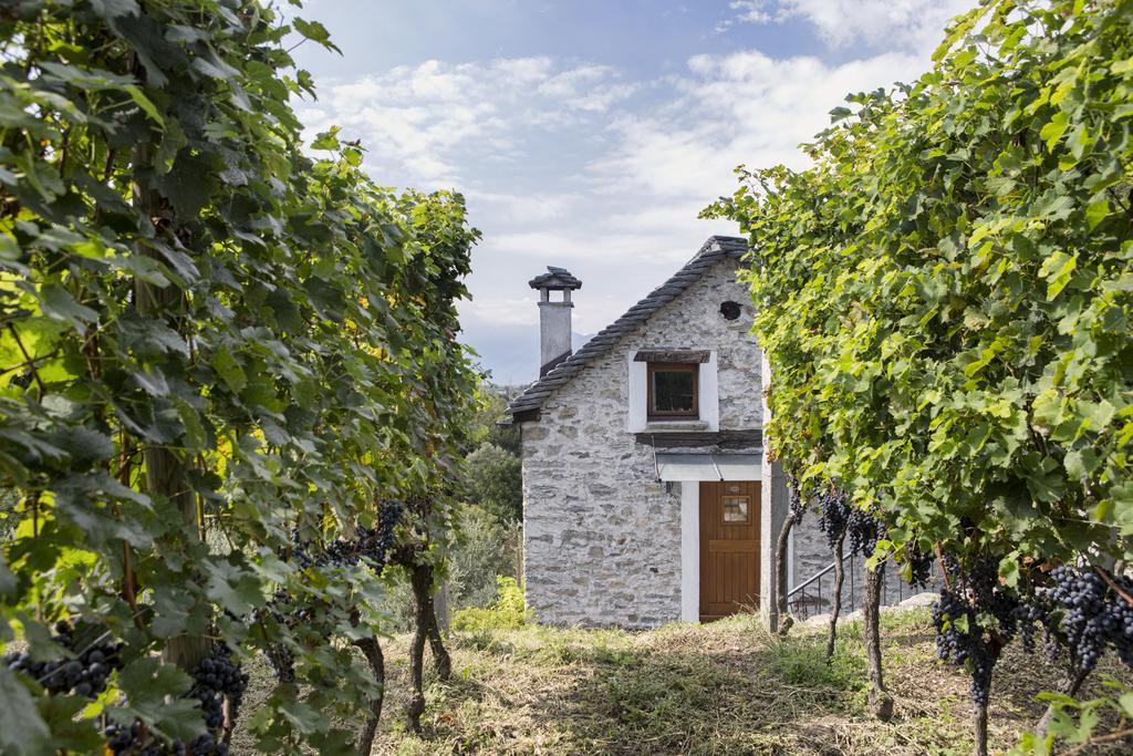 Fattoria L'amorosa Hotel
