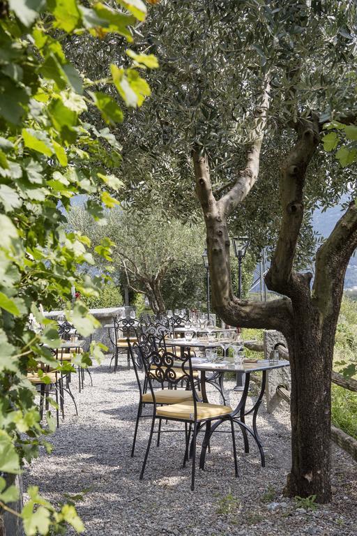 Fattoria L'amorosa 3* Sementina
