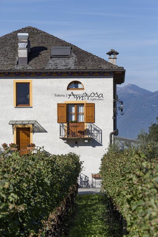 Fattoria L'amorosa 3*