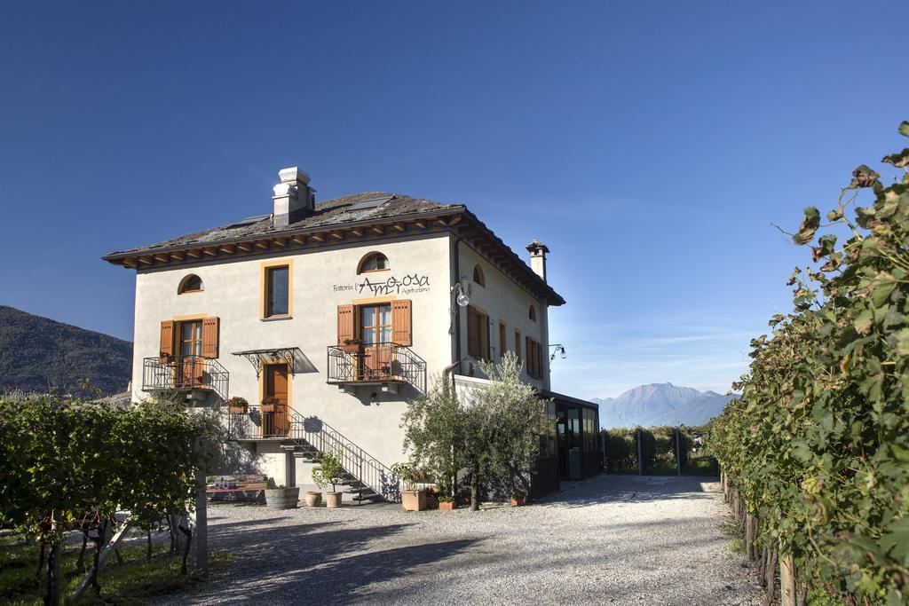Fattoria L'amorosa 3* Sementina