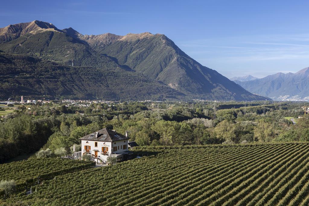 Hotel Fattoria L'amorosa