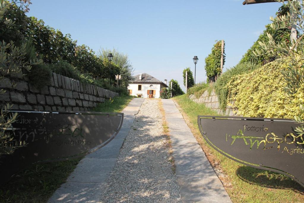 Hotel Fattoria L'amorosa