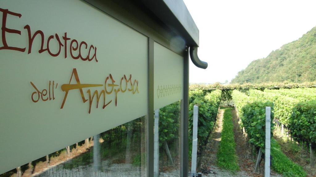 Fattoria L'amorosa Hotel Sementina