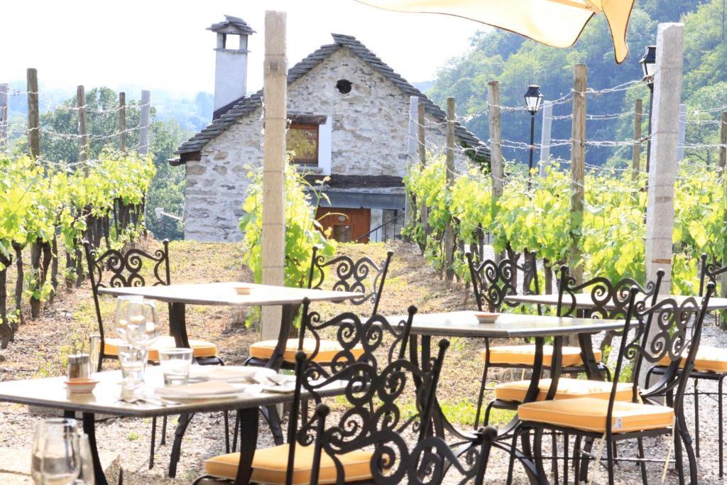 Fattoria L'amorosa Sementina